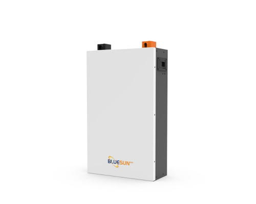 Аккумулятор  IN-THERM/BLUESUN LiFePO4 48 V 100 Ah 